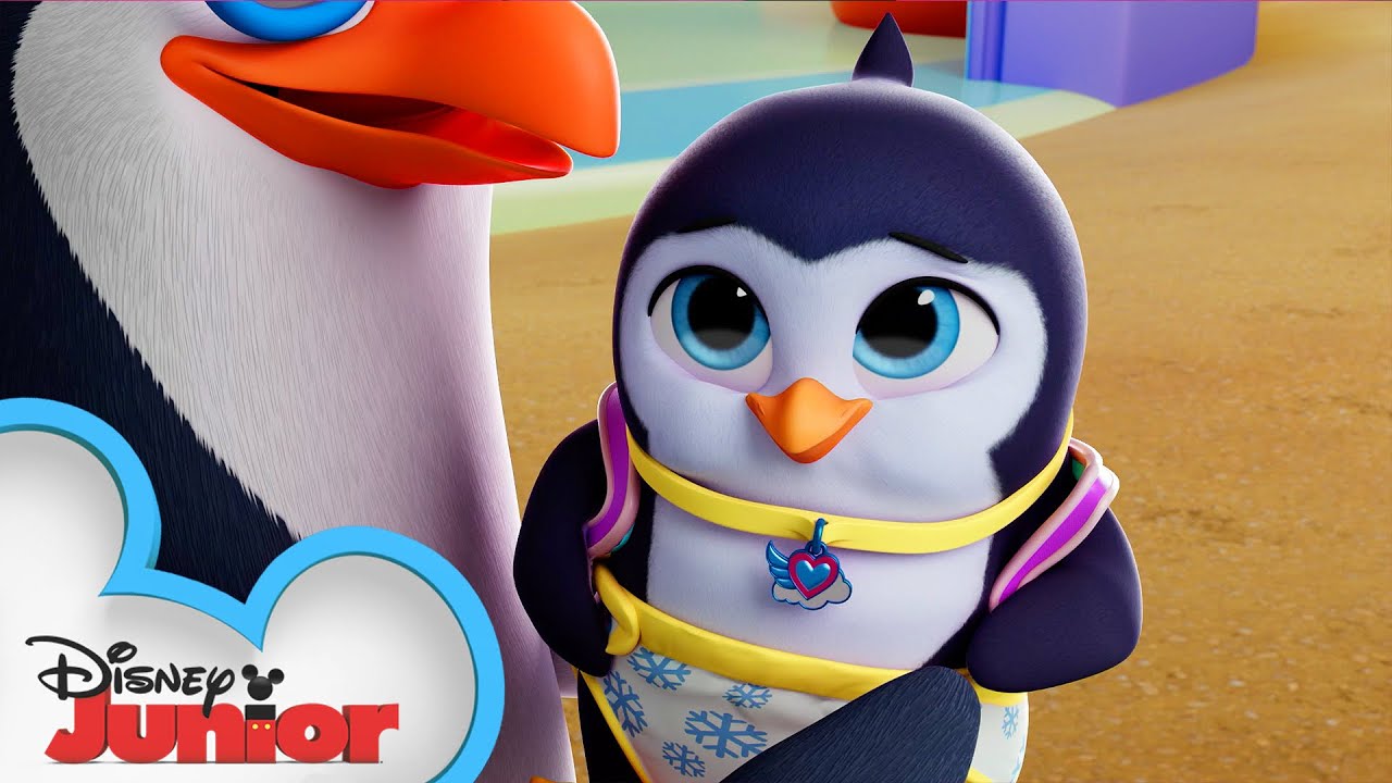 image 0 Best Feathered Friends : T.o.t.s. : @disney Junior