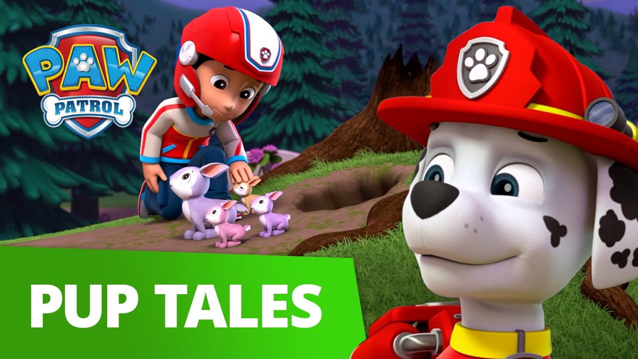Bunny And Buddy Rescue With Marshall! 🐰 Paw Patrol Pup Tales Rescue Episode!