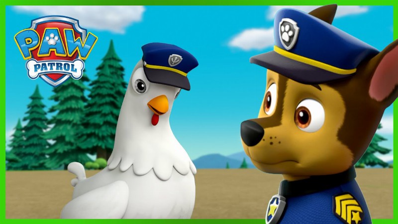Chase And Chickaletta Change Bodies And More! : Paw Patrol : Cartoons For Kids Compilation