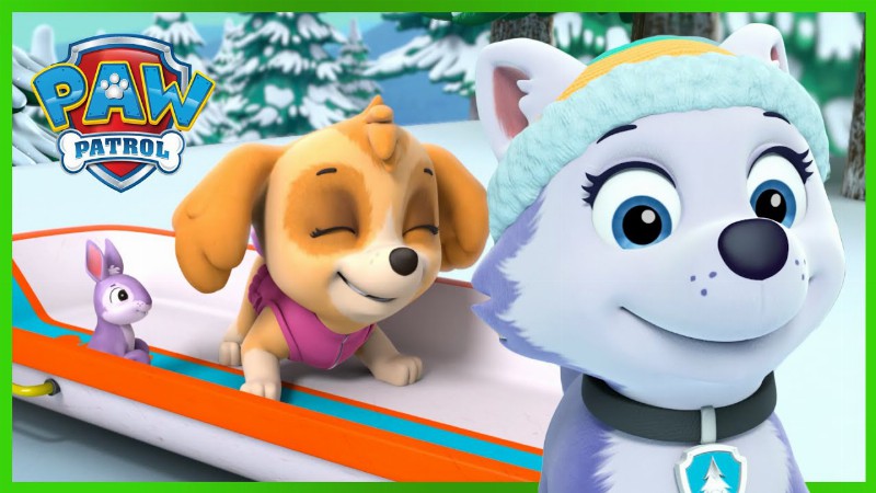 image 0 Everest Rescues Skye On The Mountain! 🗻 : Paw Patrol Rescue Episode : Cartoons For Kids!