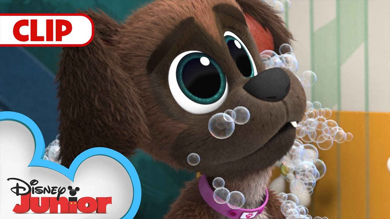 Family Pet Picture Day : Puppy Dog Pals : @disney Junior