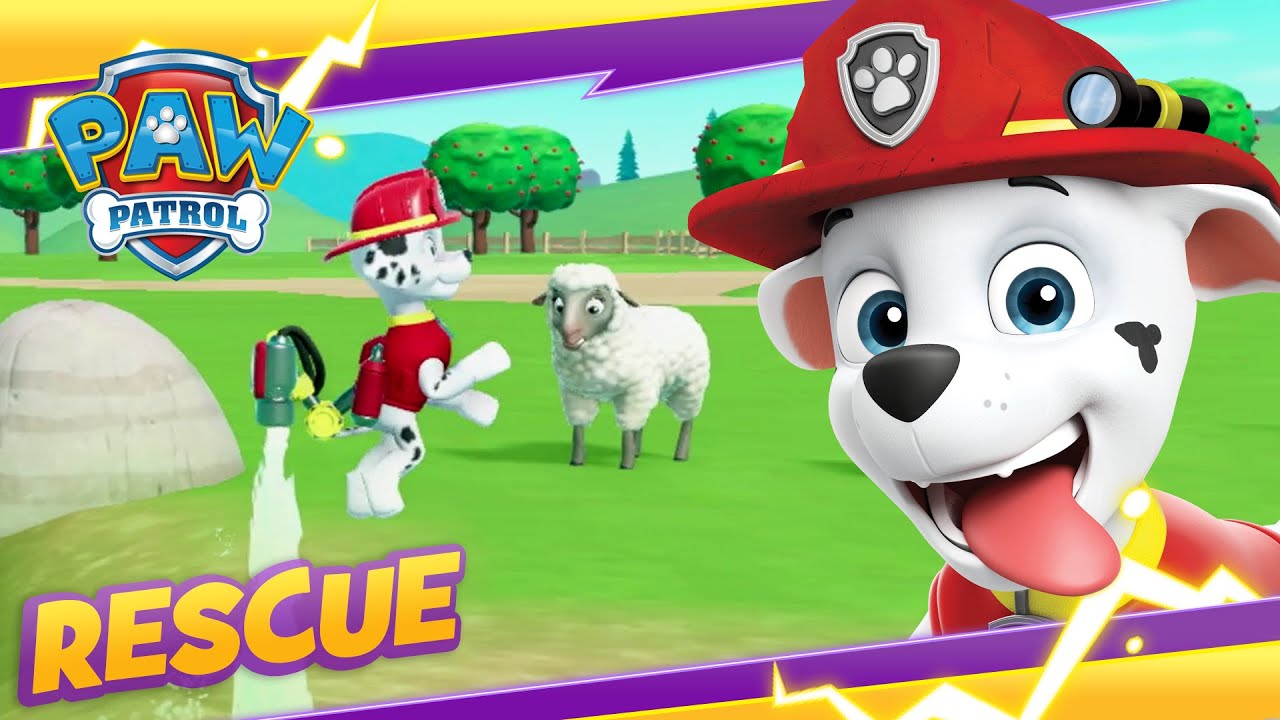 image 0 Marshall And Zuma Rescue The Baby Ducks! 🐥 Cartoon And Game Rescue Paw Patrol Official & Friends