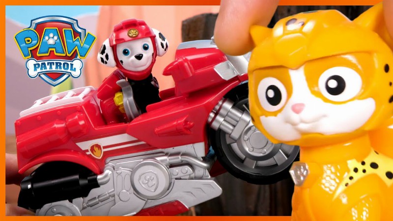 image 0 Moto Pups And Cat Pack Rescues And More! 😸: Paw Patrol : Toy Pretend Play For Kids