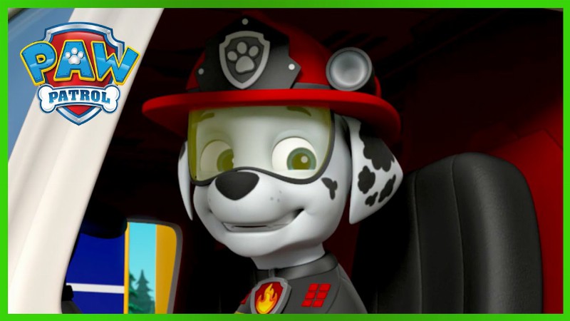 Over 1 Hour Of The Best Marshall Rescues! 🔥 : Paw Patrol : Cartoons For Kids Compilation