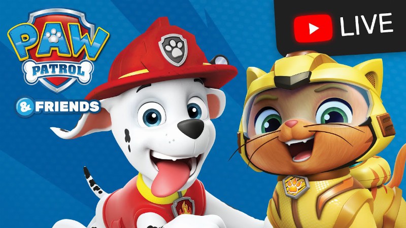 image 0 🔴 Paw Patrol Cat Pack! Wild Cat Leo Shade And Rory! : Cartoons For Kids Live Stream