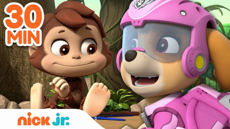 image 0 Paw Patrol Earth Day Rescues! W/ Skye Tracker & Mighty Pups : 30 Minute Compilation : Nick Jr.