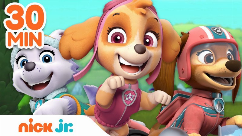 Paw Patrol Hero Pups To The Rescue! W/ Liberty Skye & Everest : 30 Minute Compilation : Nick Jr.