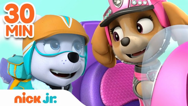 image 0 Paw Patrol Mighty Rescues W/ Skye & Everest! : 30 Minute Compilation : Nick Jr.
