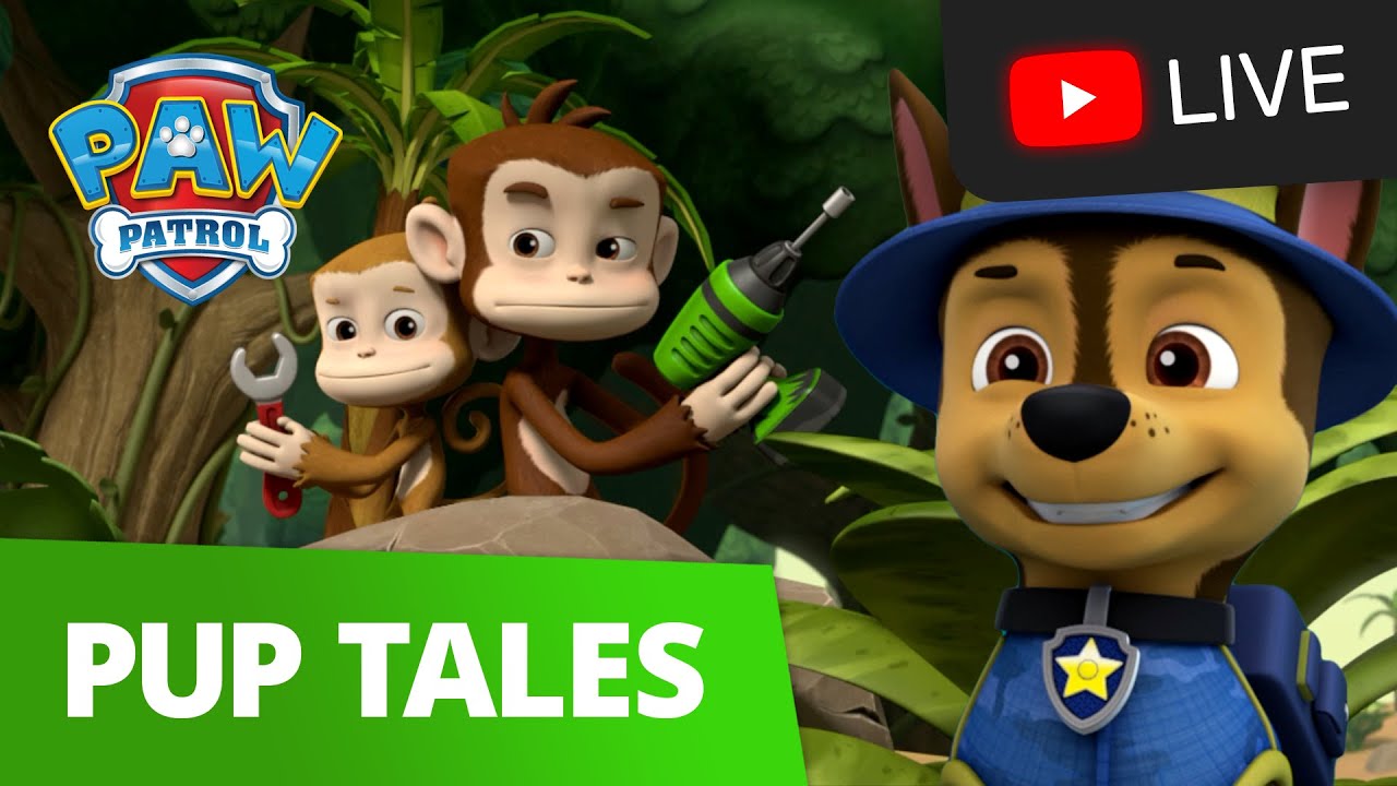 image 0 🔴 Paw Patrol Season 7 Moto Pups Dino Rescue Mighty Pups And More! 24/7 Pup Tales Episodes