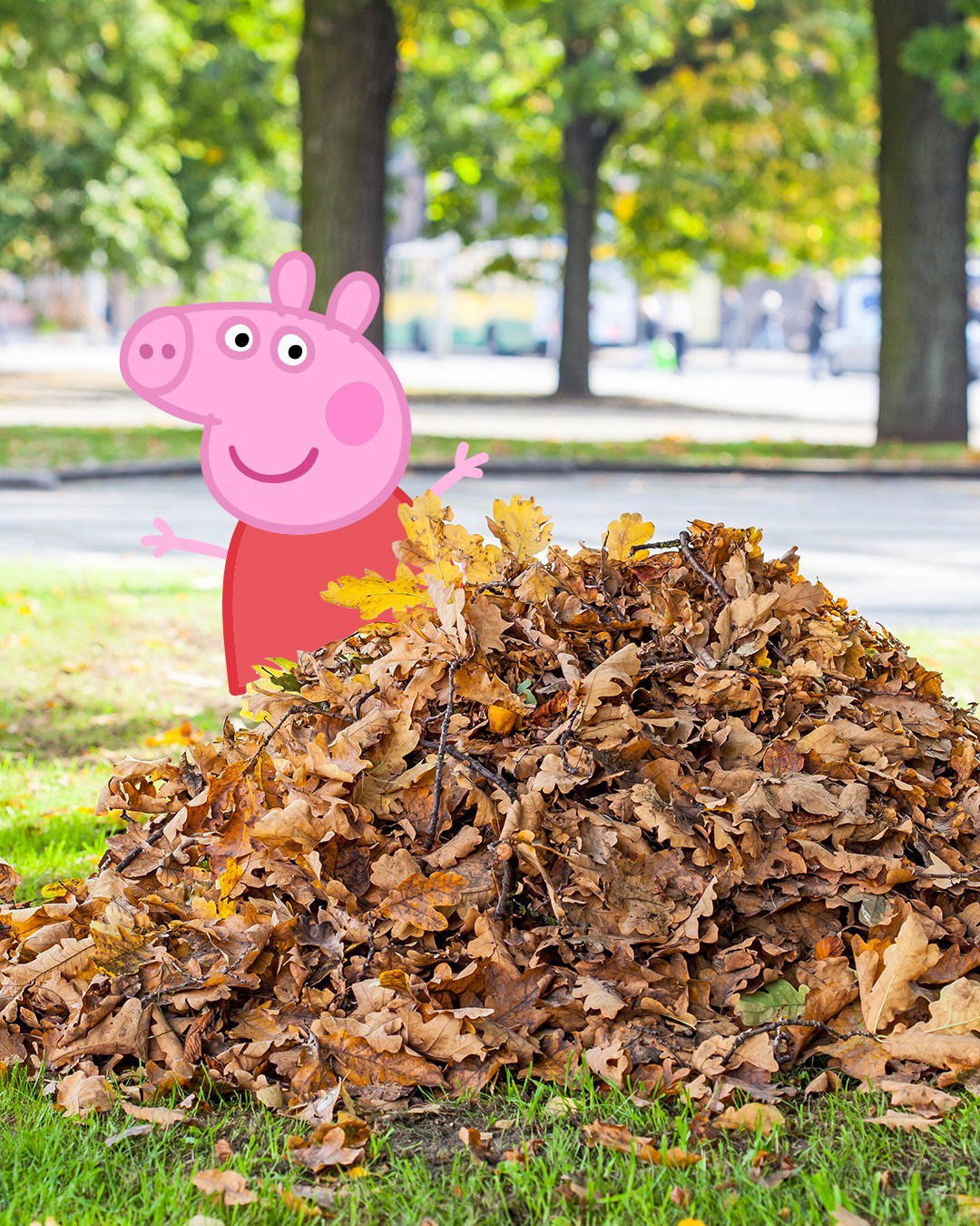 image  1 Peppa Pig - Autumn is my favourite season because