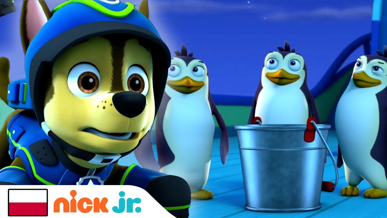 Psi Patrol : Lodowaci Złodzieje Pingwinów? : Nick Jr.