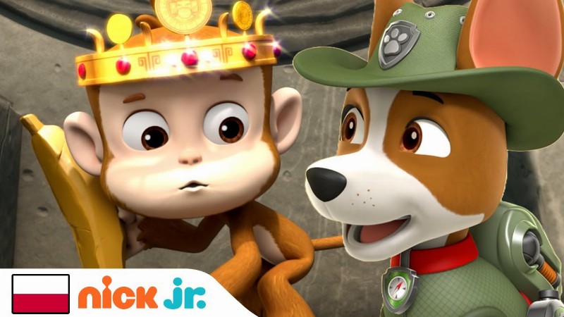 Psi Patrol : Tracker Psiak Z Dżungli : Nick Jr.