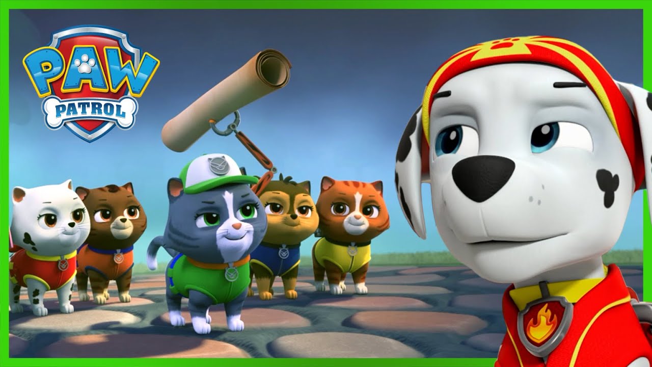 image 0 Pups Save A Secret Scroll! 📜 : Paw Patrol Rescue Episode : Cartoon For Kids!