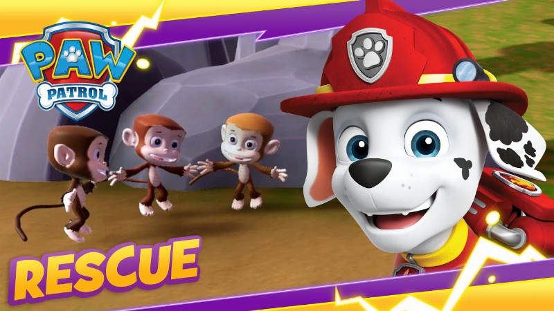 image 0 Pups Save A Space Monkey And Stinky Monkeys! : Paw Patrol : Cartoon And Game Rescue Episode For Kids