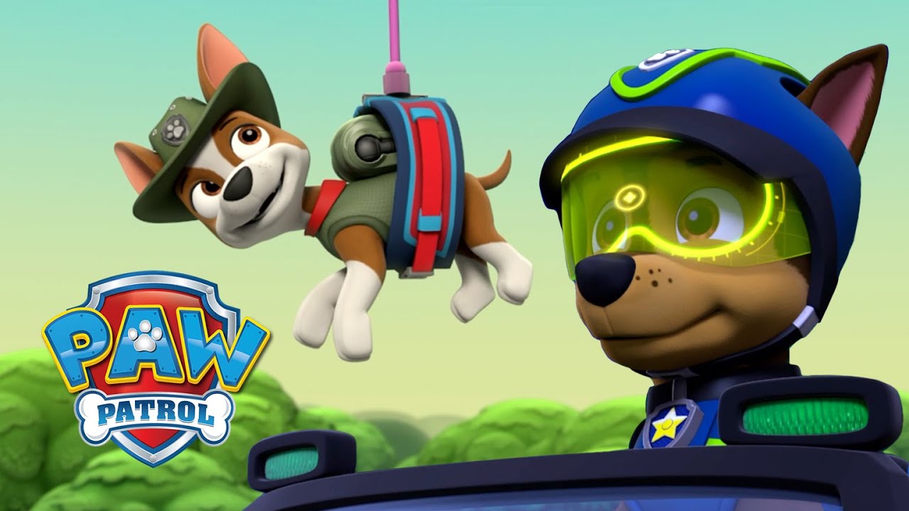 Pups Save Monkeys And The New Pup Liberty! Paw Patrol Cartoon Compilation 66 Paw Patrol & Friends