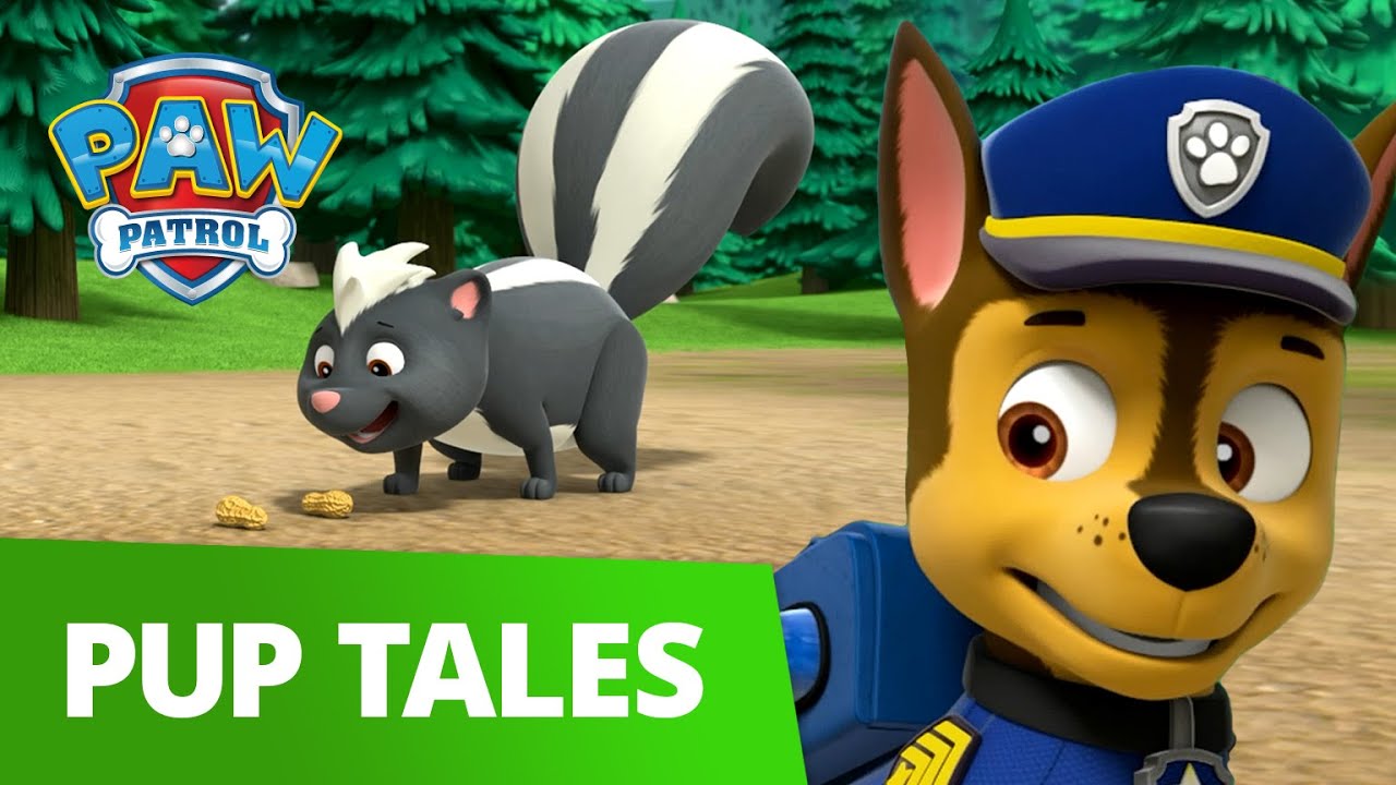 Pups Save Mr. Porter From A Stinky Skunk! 🦨 : Paw Patrol : Cartoons For Kids!