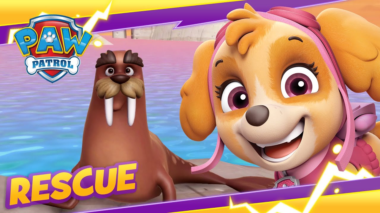 image 0 Pups Save Wally The Walrus! : Paw Patrol : Cartoon And Game Rescue Episode For Kids