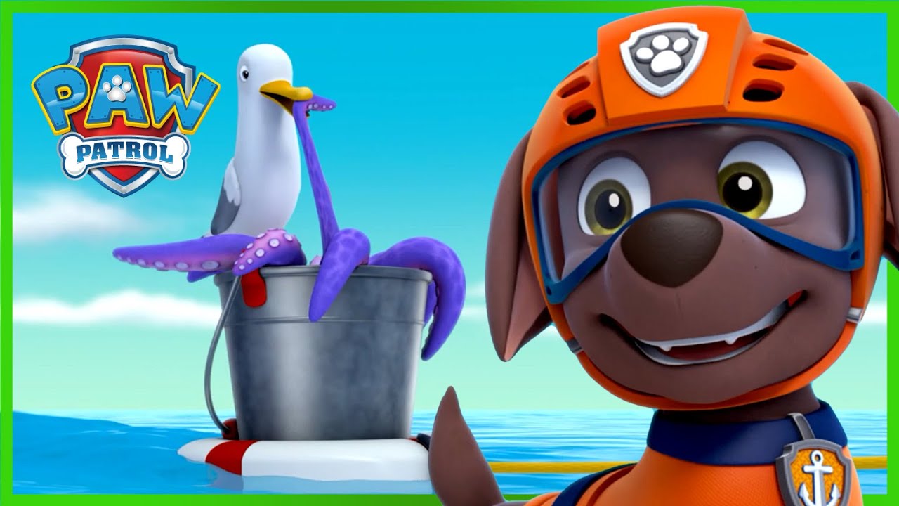 Pups Save Wally The Walrus! 🐋 : Paw Patrol Rescue Episode : Cartoons For Kids