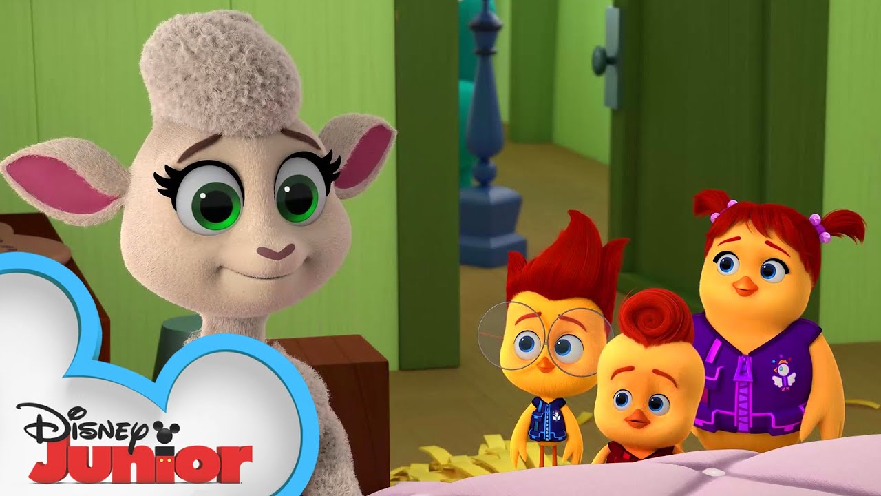 image 0 Sheep On The Lam 🐑 : The Chicken Squad : @disney Junior
