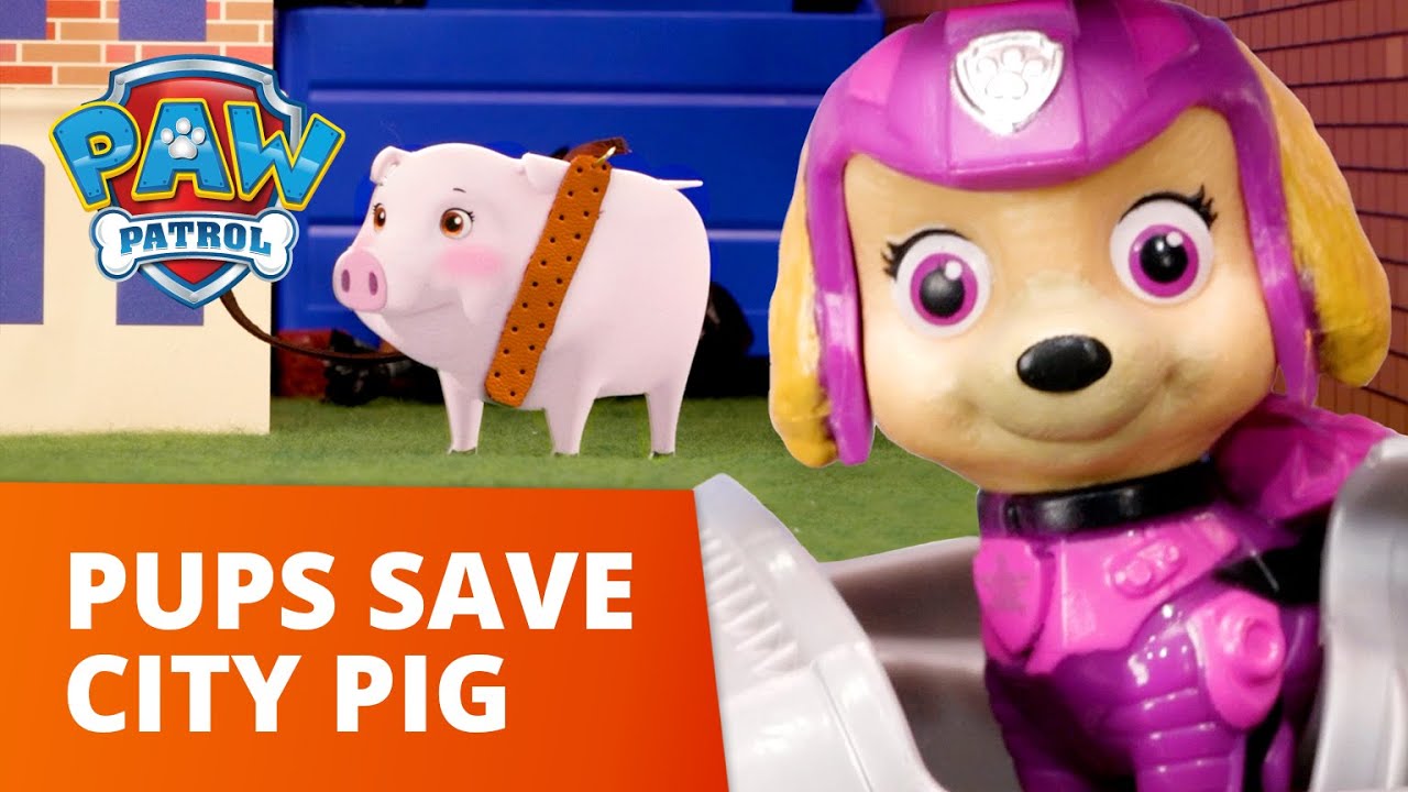 image 0 Skye And Chase Save The Silly City Piggy! 🐷 Paw Patrol Toy Pretend Play Rescue