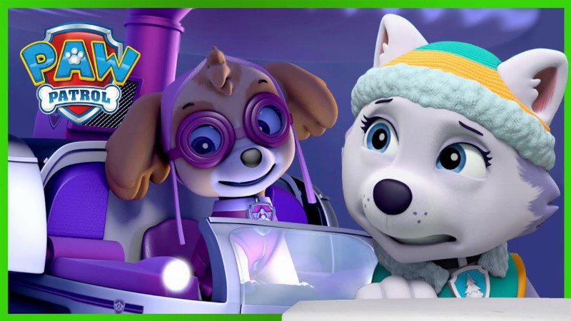 image 0 Skye And Everest Rescues! : Paw Patrol : Cartoons For Kids Compilation