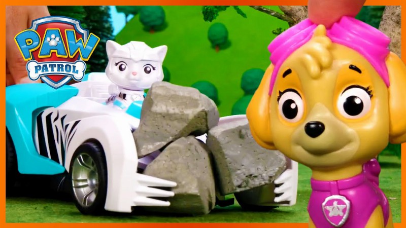 image 0 Skye And Rory Save A Baby Eagle 🦅: Paw Patrol : Toy Pretend Play Rescue For Kids