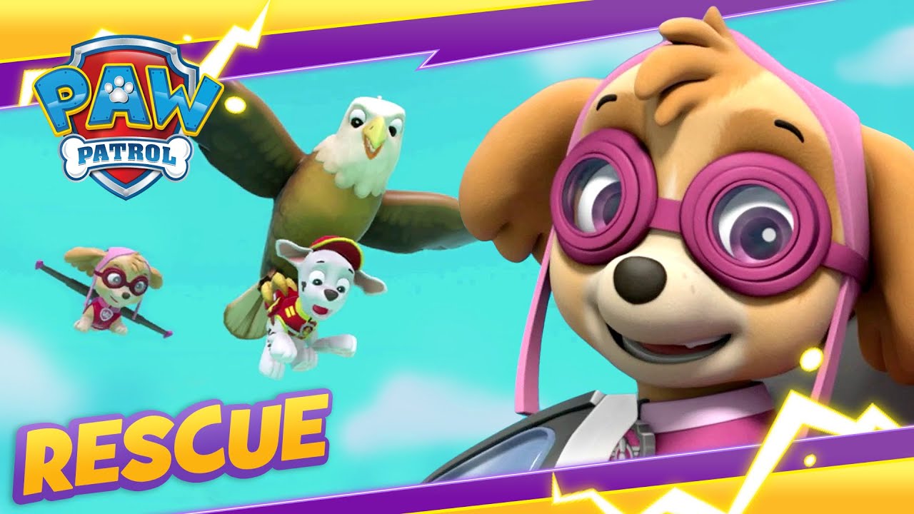 Skye Saves Daring Danny And An Eagle! : Paw Patrol : Cartoon And Game Rescue Episode For Kids