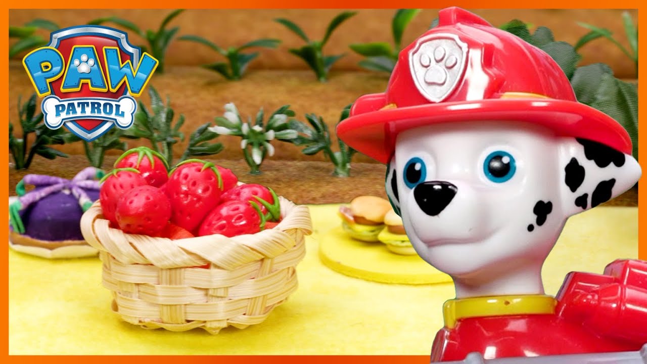 image 0 The Pups Get Gardening! : Paw Patrol : Toy Pretend Play Rescue