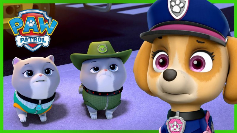 Ultimate Rescue Pups Save The Royal Kitty Cats! : Paw Patrol : Cartoons For Kids Compilation