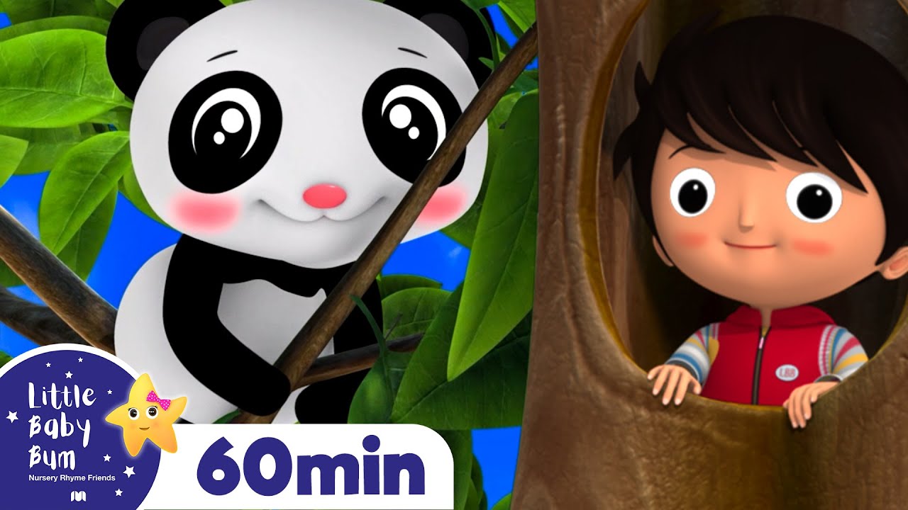 image 0 Where Did You Go? +more Nursery Rhymes And Kids Songs : Little Baby Bum