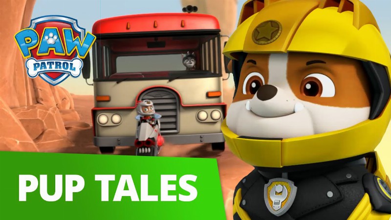 Wild Cat And Moto Pups Save A Tour Bus 🚌  : Paw Patrol Rescue Episode : Cartoons For Kids!